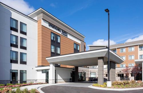 Maple Grove Hotel | SpringHill Suites Minneapolis Maple Grove/Arbor Lakes