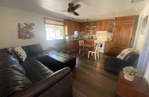 Lake City Cabin | Spruce Lodge - Newly Remodeled - Great Downtown Location!