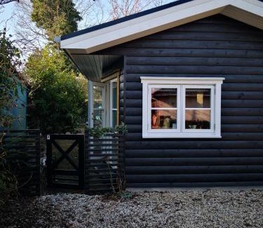 Greve House | Spurvereden ved vandet