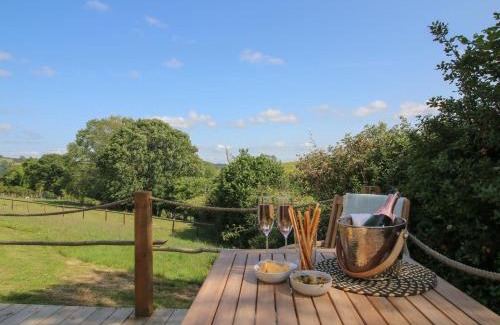Hopton Castle House | Squirrel's Drey