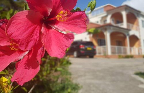 St. George's Apartment | St. George's Holiday Studio Vacation of a lifetime