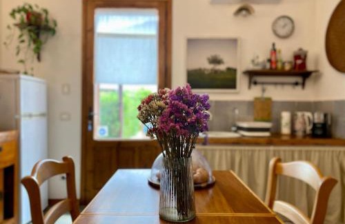 Birgi Vecchi Bed & Breakfast | Stagnone Area Zero