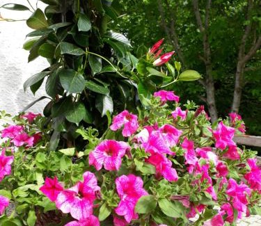 Pichl-Preunegg Apartment | Stallhäusl