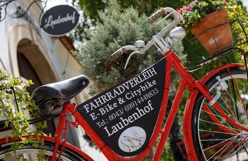 Morbisch am See Cottage | Standard Doppelzimmer - Pension Laubenhof