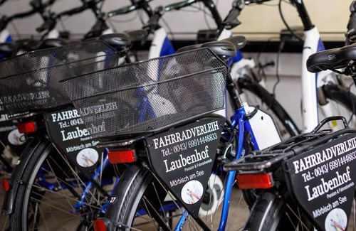 Morbisch am See Cottage | Standard Doppelzimmer - Pension Laubenhof