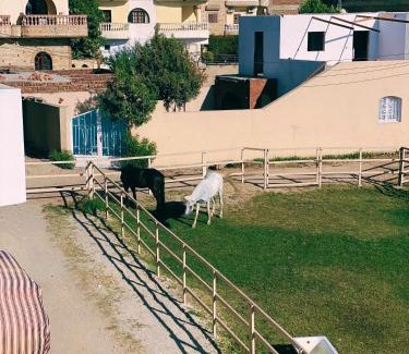Luxor Apartment | star- guest house