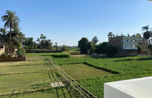 Luxor Apartment | star- guest house