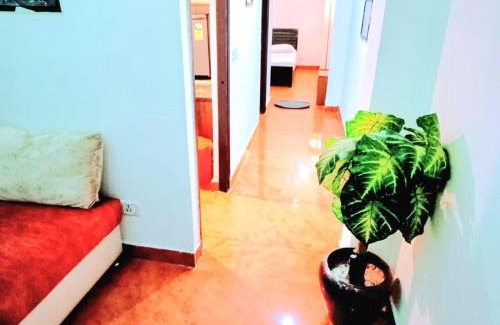 Hauz Khas Apartment | Star Recedency2