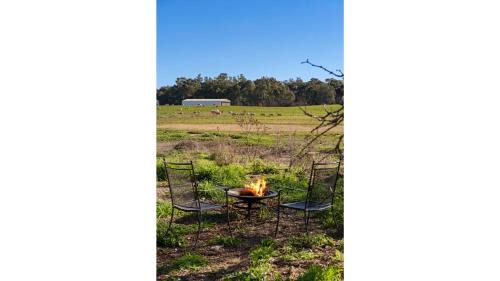 Forbes House | Starry Night Farmstay by Tiny Away