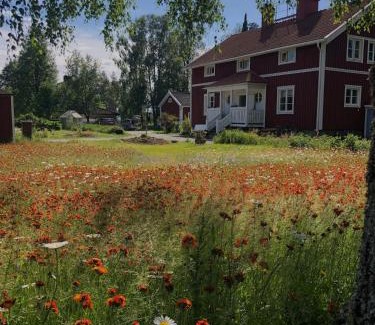 Vindeln Apartment | Stay in Skogmästarvillan Hear the roar of the Vindelälven river