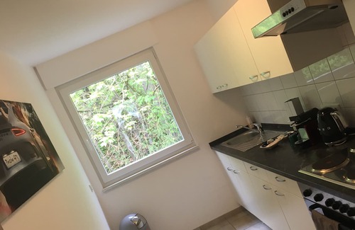 Adenau Apartment | Stay with excellent view on the Track