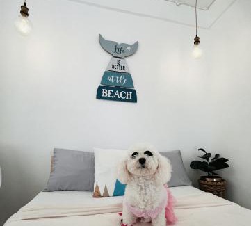 Lian House | StayNest Matabungkay - Private Vacation House