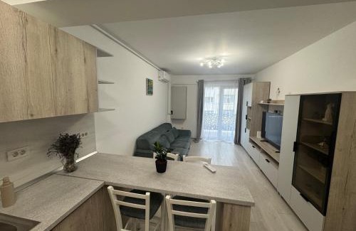 Suceava Apartment | Staywell Accomodation city center with underground parking and AC