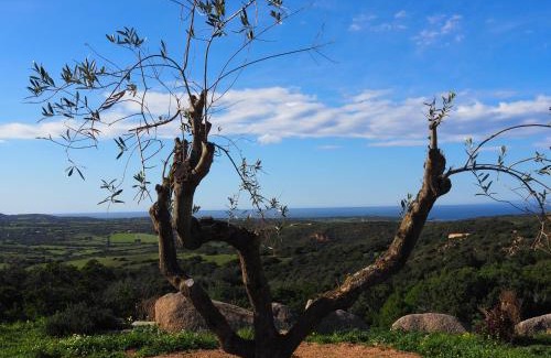 Aglientu Apartment | Stazzu Giasti Agriturismo