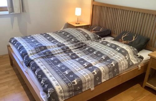 Obertauern Apartment | Steinadler Gamsleiten FL - Skiing Holiday in Obertauern