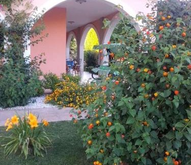 Lendinuso Apartment | Stella marina residence