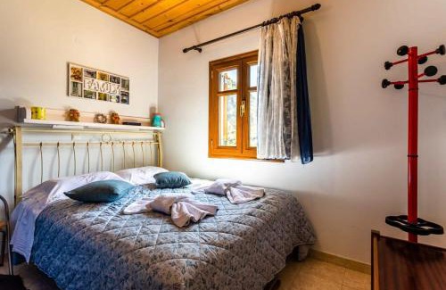 Trikolonoi Apartment | Stemnitsa Stone Residence - Comfy Mountain Getaway