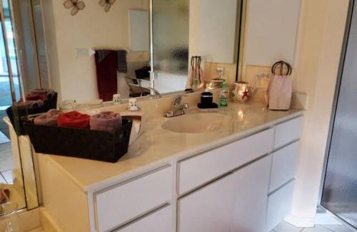 Port Charlotte - Charlotte Harbor House | steve and cori's tropical king suite 2