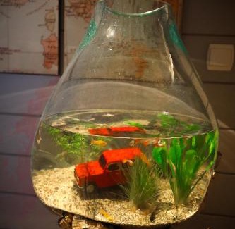 Kaggevinne Bed & Breakfast | Stijl en kleur