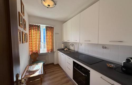 St. Moritz Apartment | StMoritz Center Vintage Terrace 180 full lake view