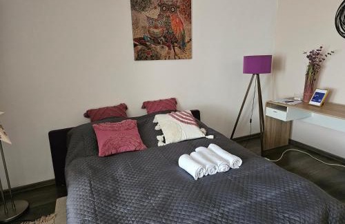 Iasi Apartment | Stone Bridge Studio