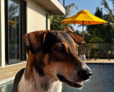 Uswetakeiyawa Hotel | Stonewater Beach Villa, Negombo