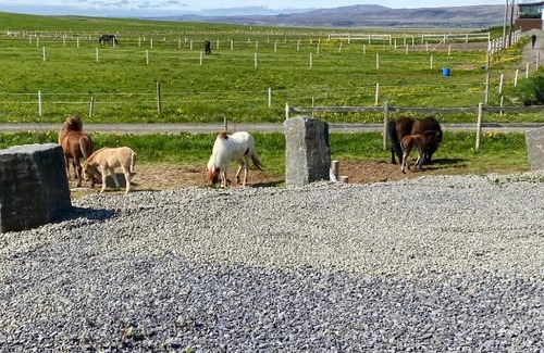 Sveitarfelagid Olfus House | Strýta 4