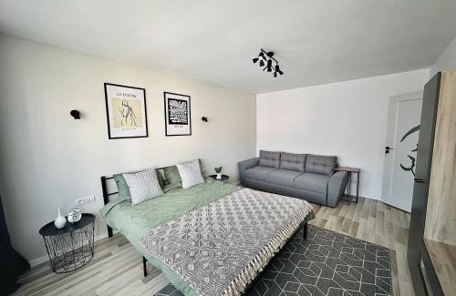 Lupeni Apartment | Straja View Apart