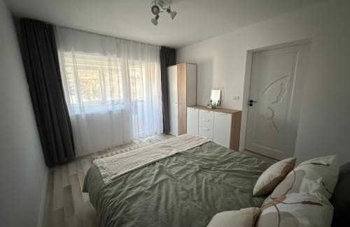 Lupeni Apartment | Straja View Apart