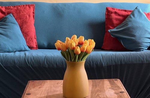 Pontedera Apartment | Strategico Appartamento in Pieno Centro con Vista Panoramica