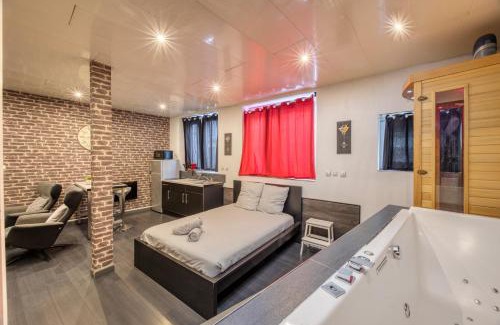 Centre Ville Apartment | street Loft with sauna