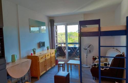 Le Penon Apartment | studio à l'océan au dessus des pins (plage & commerces à pied)