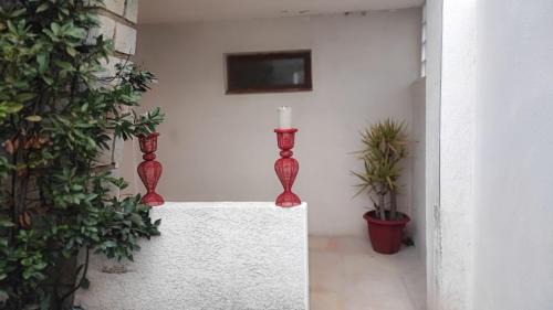 Vauvert Apartment | Studio 1 chambre climatisé en camargue