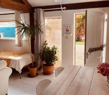 Gloucester House | Studio 23