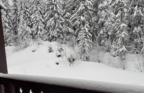 Mieussy Apartment | Studio 3 Personnes sur Station de ski à Sommand, Commune Mieussy