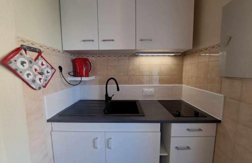 Marseillan Plage Apartment | Studio 4 couchages avec terrasse et parking privé sécurisé - FR-1-326-591