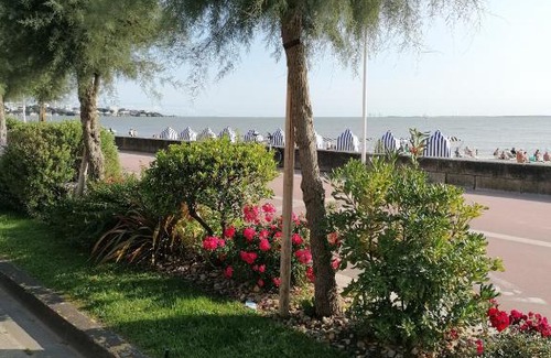 Saint-Georges-de-Didonne Apartment | Studio 4 personnes à 100m de la plage