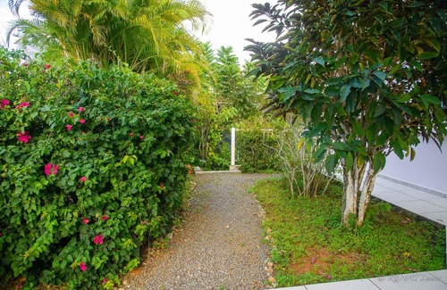 Baie-Mahault Apartment | Studio adjoining the main house but totally independent