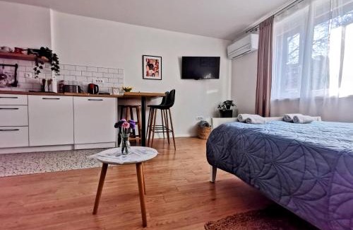 Varazdin Apartment | Studio apartman Mirta I