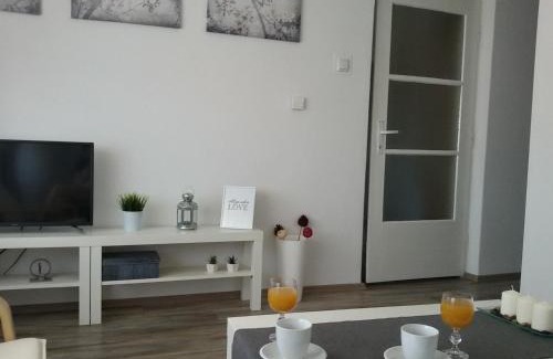 Daruvar Apartment | Studio apartman Toplica