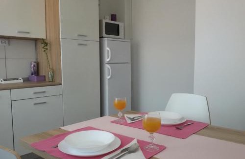 Daruvar Apartment | Studio apartman Toplica