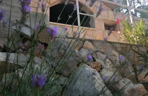 Starigrad Apartment | Studio Apartment Frane