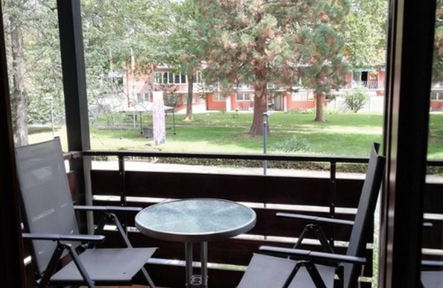 Bad Krozingen Apartment | Studio Apartment '1 Zimmer Appartement 20' with Balcony and Wi-Fi