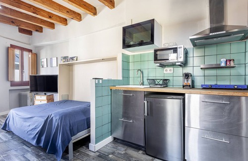 Barrio del Carmen Apartment | Studio Apartment 'Estudio 4 Centro Histrico Valencia' with Garden and Air Conditioning