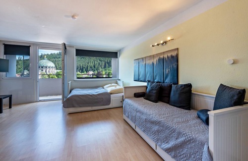 St. Blasien Apartment | Studio Apartment 'Kloster Meister Haus 15' with Balcony