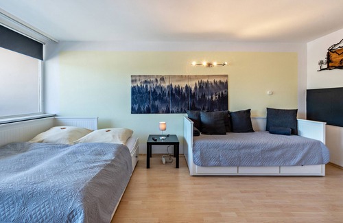 St. Blasien Apartment | Studio Apartment 'Kloster Meister Haus 15' with Balcony