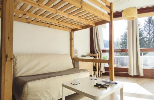 Villard-de-Lans House | Studio au pied des piste avec linge de maison fourni - Cote 2000
