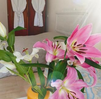 Peyrolles-en-Provence Apartment | Studio avec jardin entre Aix-en-Provence, Luberon et Verdon