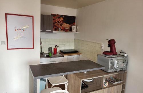 Saint-Etienne Apartment | Studio avec parking gratuit