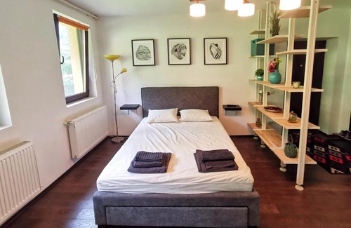 Azuga Apartment | Studio Azuga